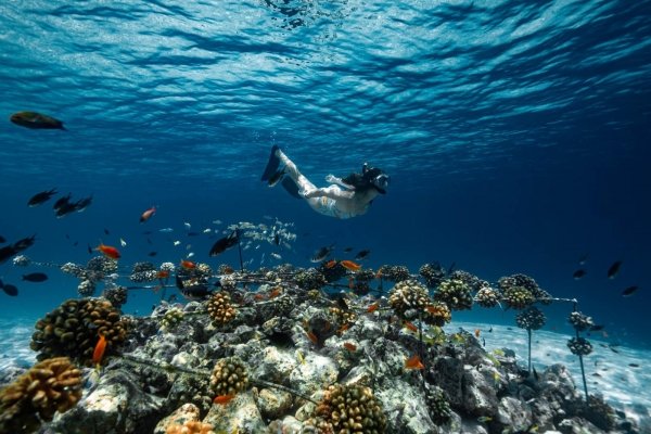 DIVING